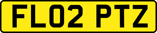 FL02PTZ