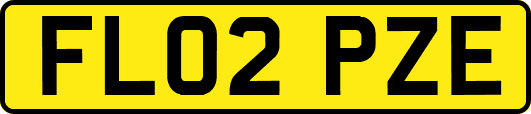 FL02PZE