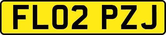 FL02PZJ