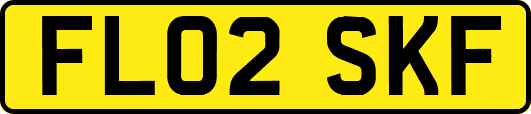 FL02SKF