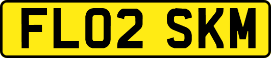 FL02SKM