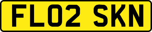 FL02SKN