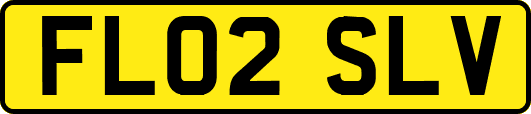 FL02SLV