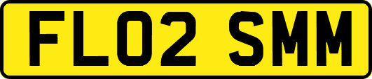 FL02SMM