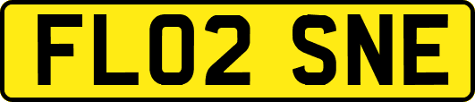 FL02SNE