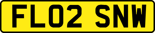 FL02SNW