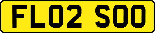 FL02SOO