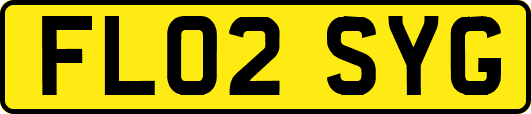FL02SYG