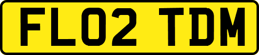 FL02TDM