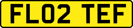 FL02TEF