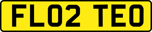 FL02TEO