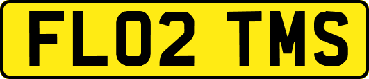 FL02TMS