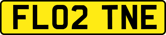 FL02TNE