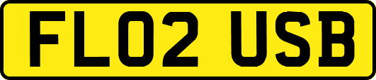 FL02USB