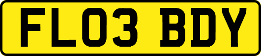 FL03BDY