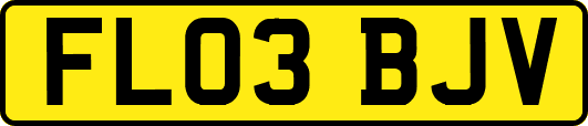 FL03BJV