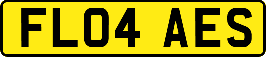 FL04AES