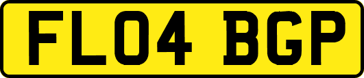 FL04BGP