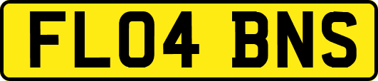 FL04BNS