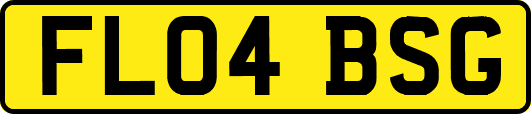 FL04BSG