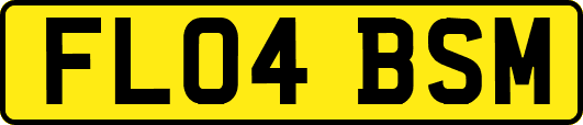 FL04BSM