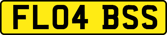 FL04BSS