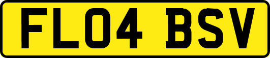 FL04BSV