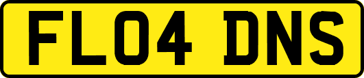 FL04DNS