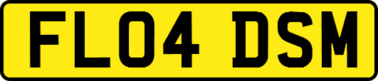 FL04DSM