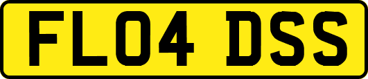 FL04DSS