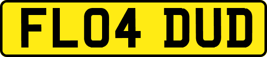 FL04DUD