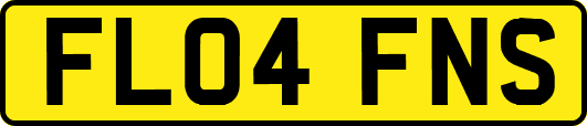 FL04FNS