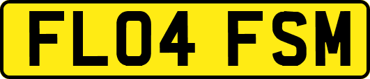 FL04FSM