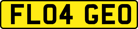 FL04GEO