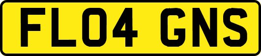 FL04GNS