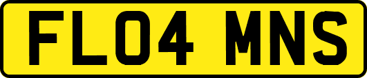 FL04MNS