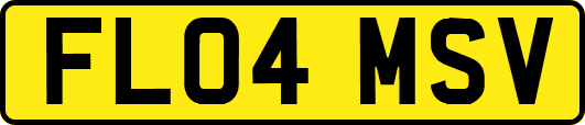 FL04MSV