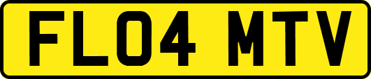FL04MTV