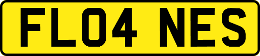FL04NES