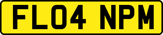 FL04NPM