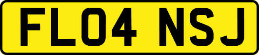 FL04NSJ