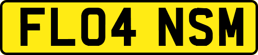 FL04NSM
