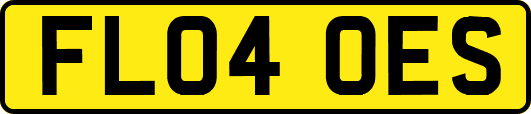 FL04OES