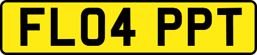 FL04PPT