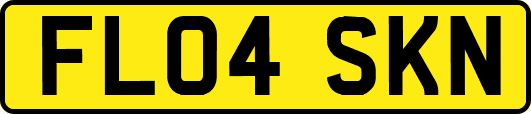 FL04SKN