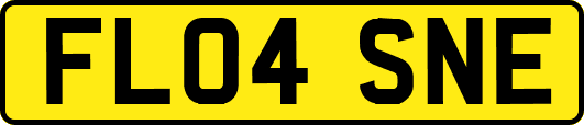 FL04SNE