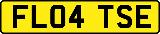 FL04TSE
