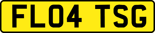 FL04TSG