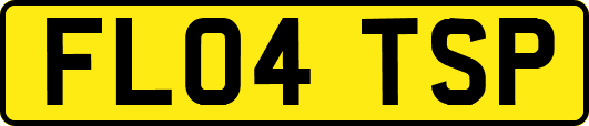 FL04TSP