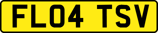 FL04TSV